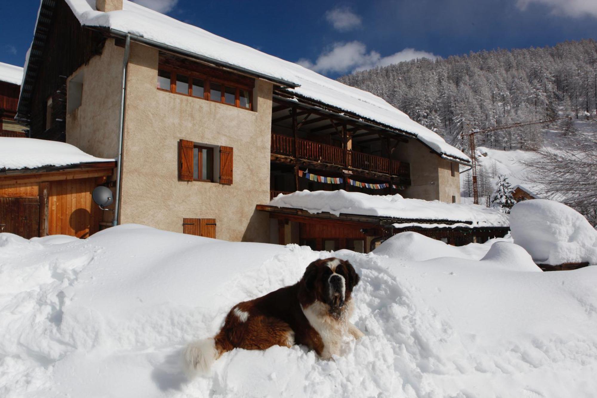 Le Chalet Viso Arvieux Ngoại thất bức ảnh