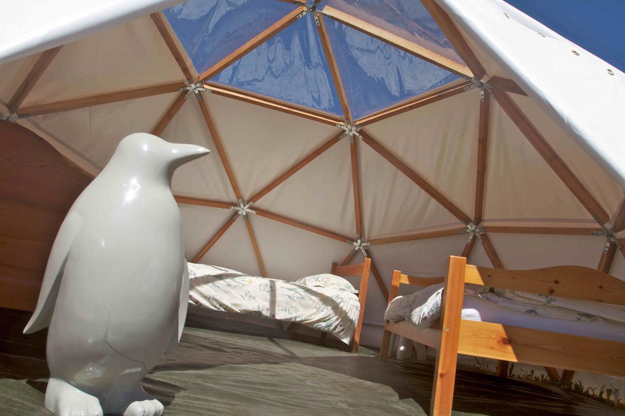 Le Chalet Viso Arvieux Ngoại thất bức ảnh